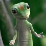 WierdAznDude's Avatar