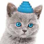 Devocat's Avatar