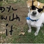 dylan8's Avatar