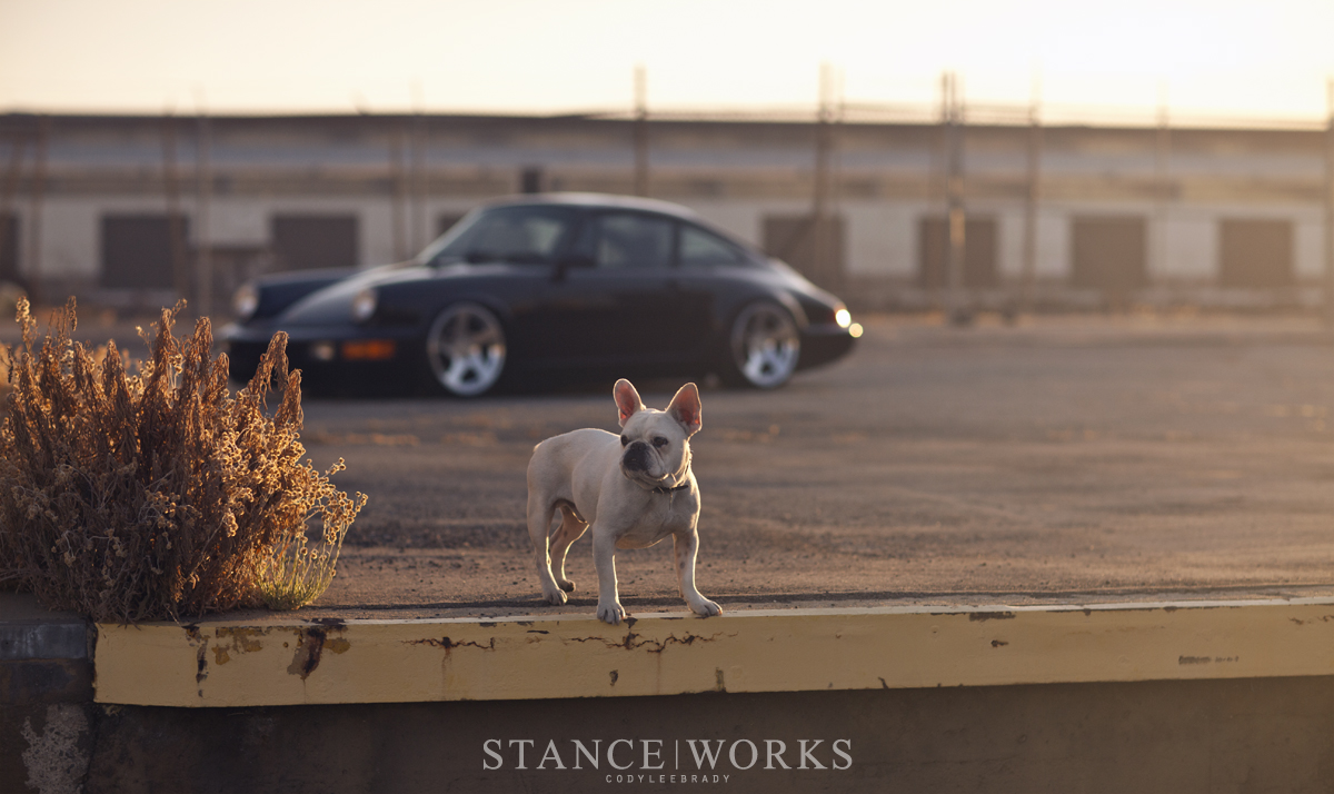 orbit-the-dog-porsche-964