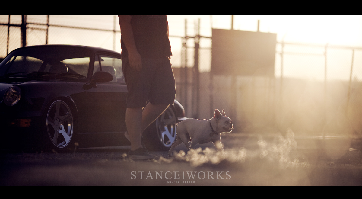 rotiform-orbit-the-dog-brian