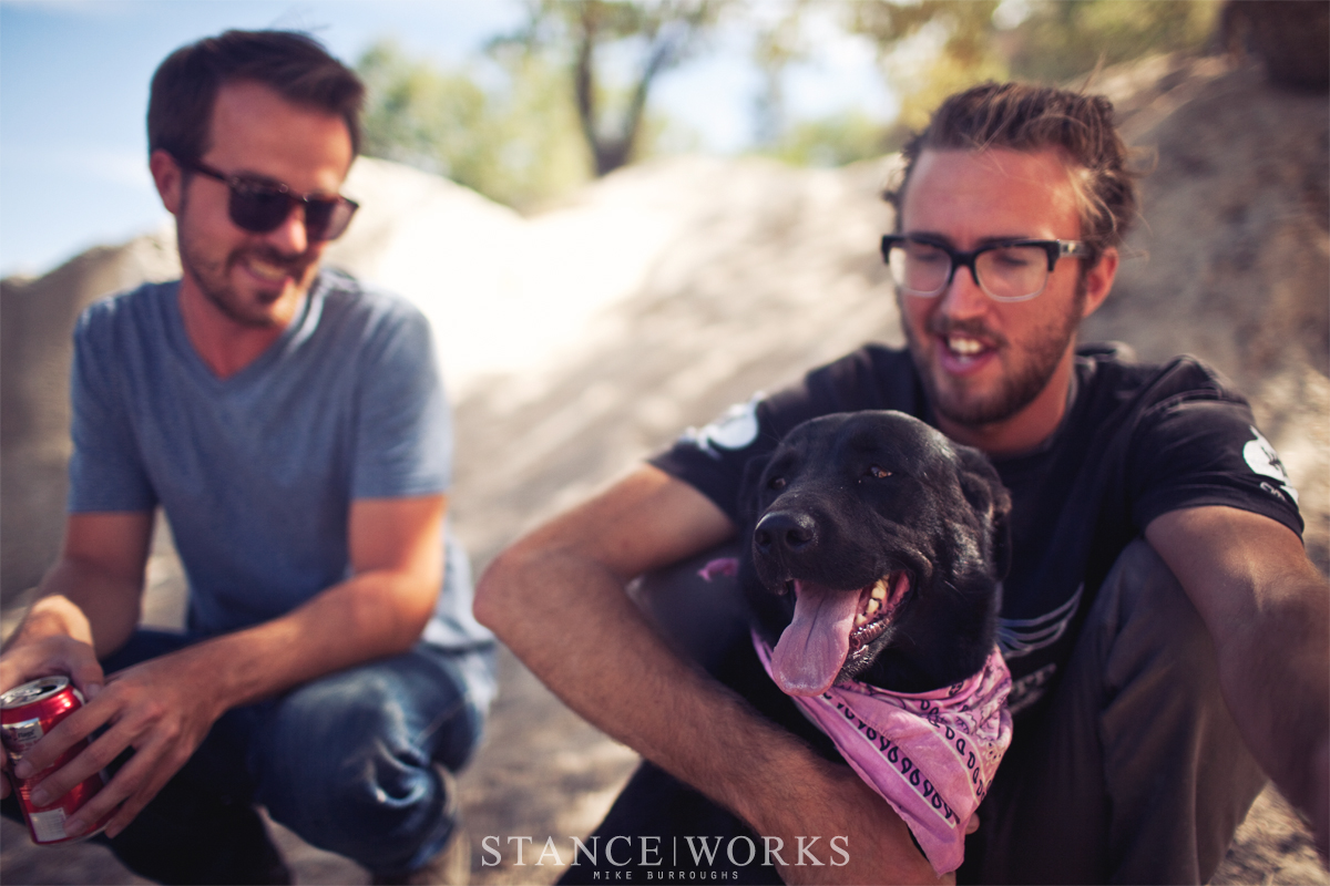 cody-andrew-labrador