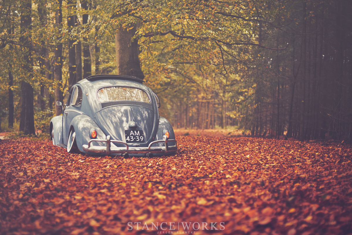 vw-beetle-camber-low-bagged