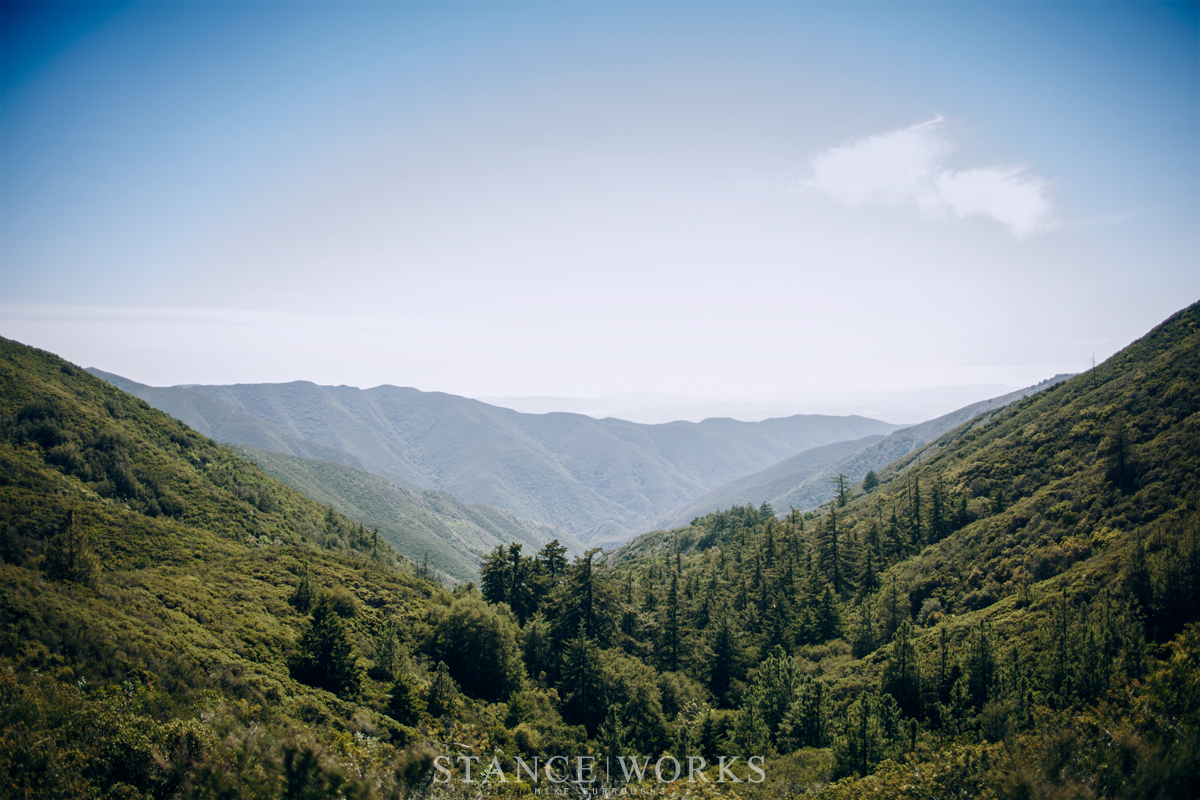 santiago-peak-march-2015-views-trees
