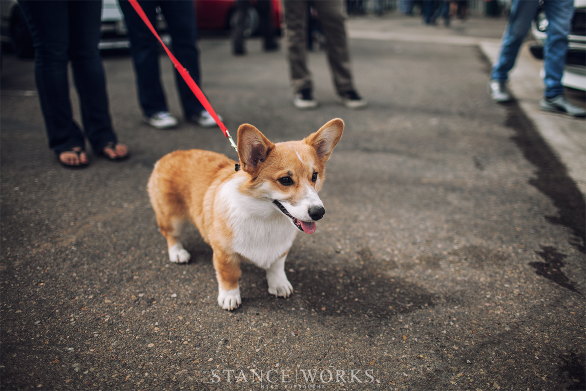 rad-industries-open-house-corgi