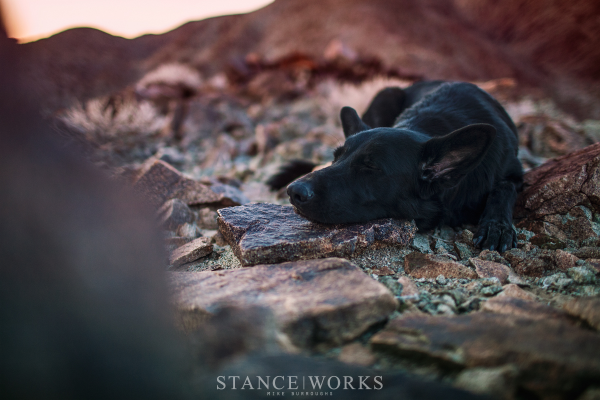 chloe-sleepings-rocks