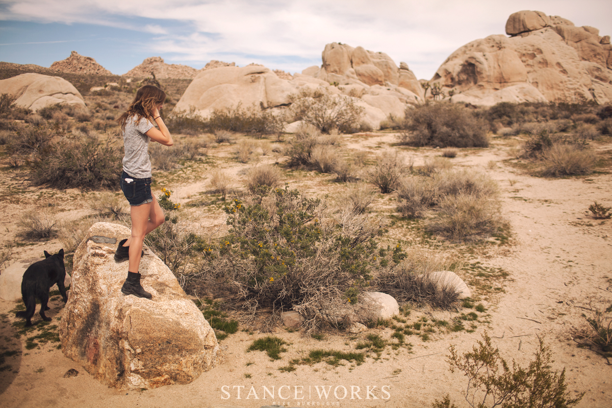 joshua-tree-national-park-rocks-emily