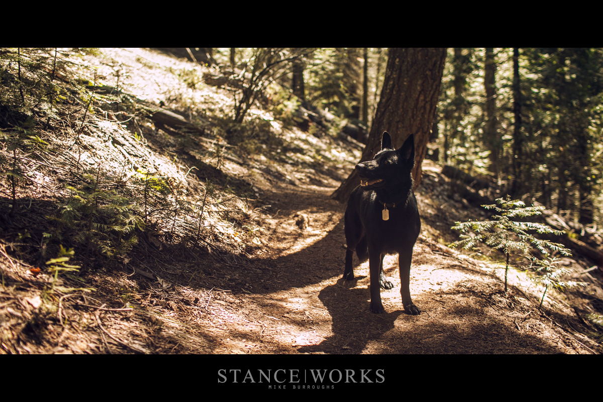 Chloe-on-trail-sequoia-grove