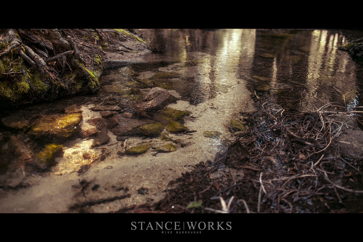 sequoia-grove-creek-water